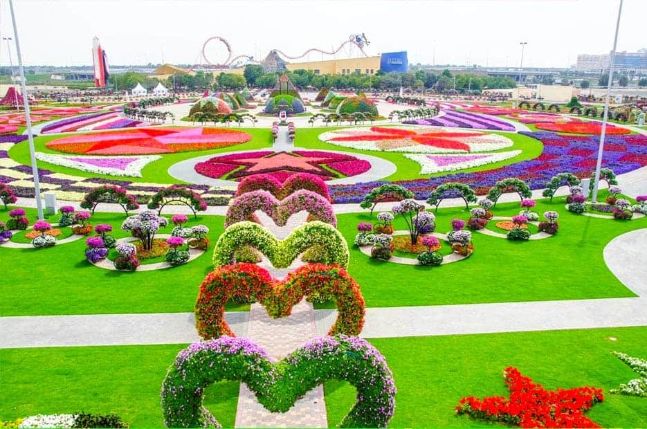 The Beautiful Miracle Garden Of Dubai 5 Miracle Garden Beautiful Plantation