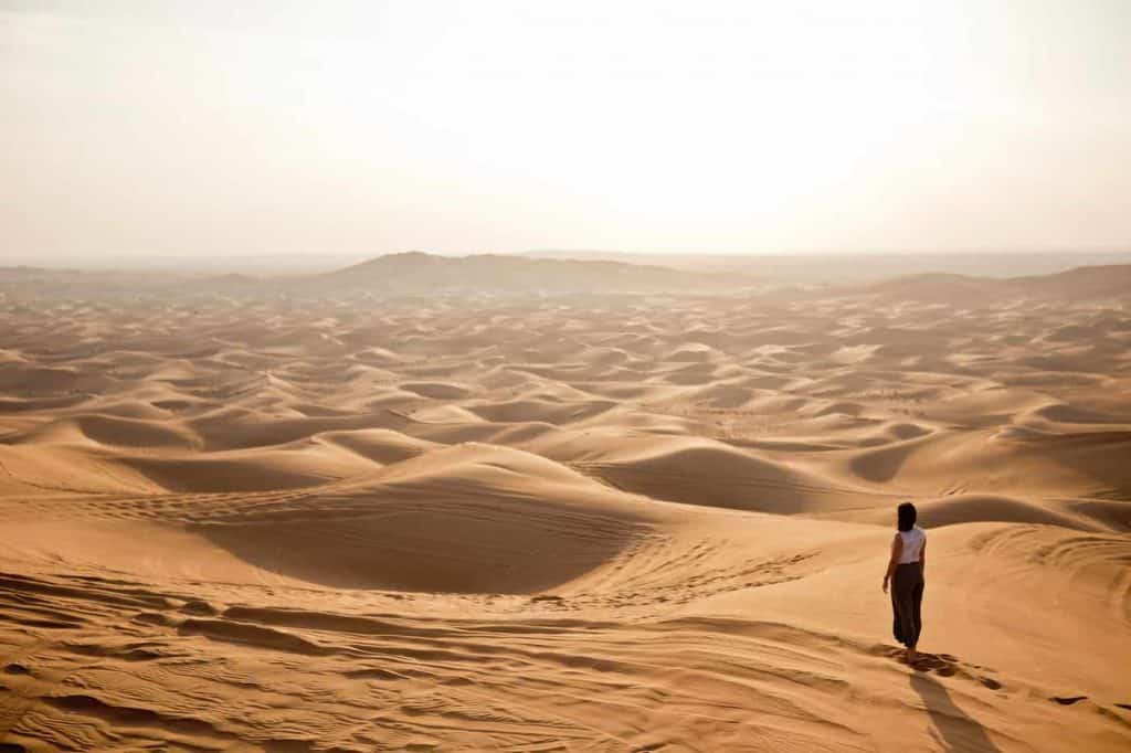 The Mighty Dubai Desert 5 The Desert