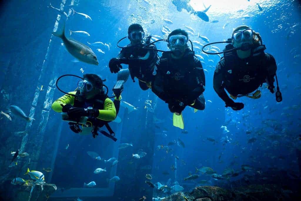 The fascinating Dubai Aquarium 17 Scuba Dive at the Dubai Aquarium