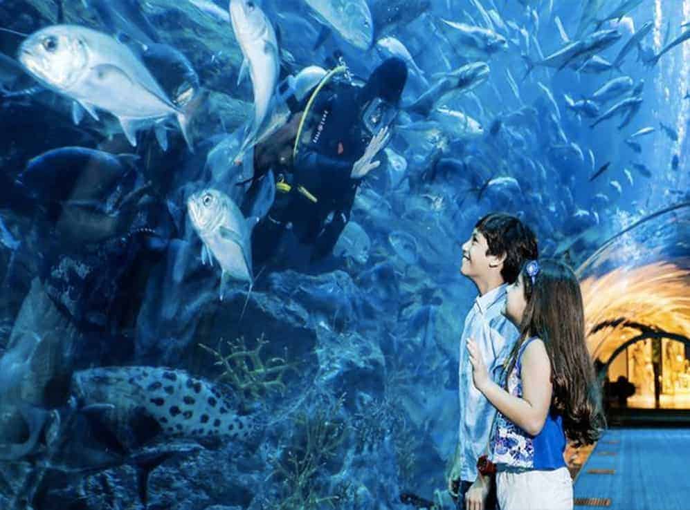 The fascinating Dubai Aquarium 15 Kid's Entertainment at the Dubai Aquarium