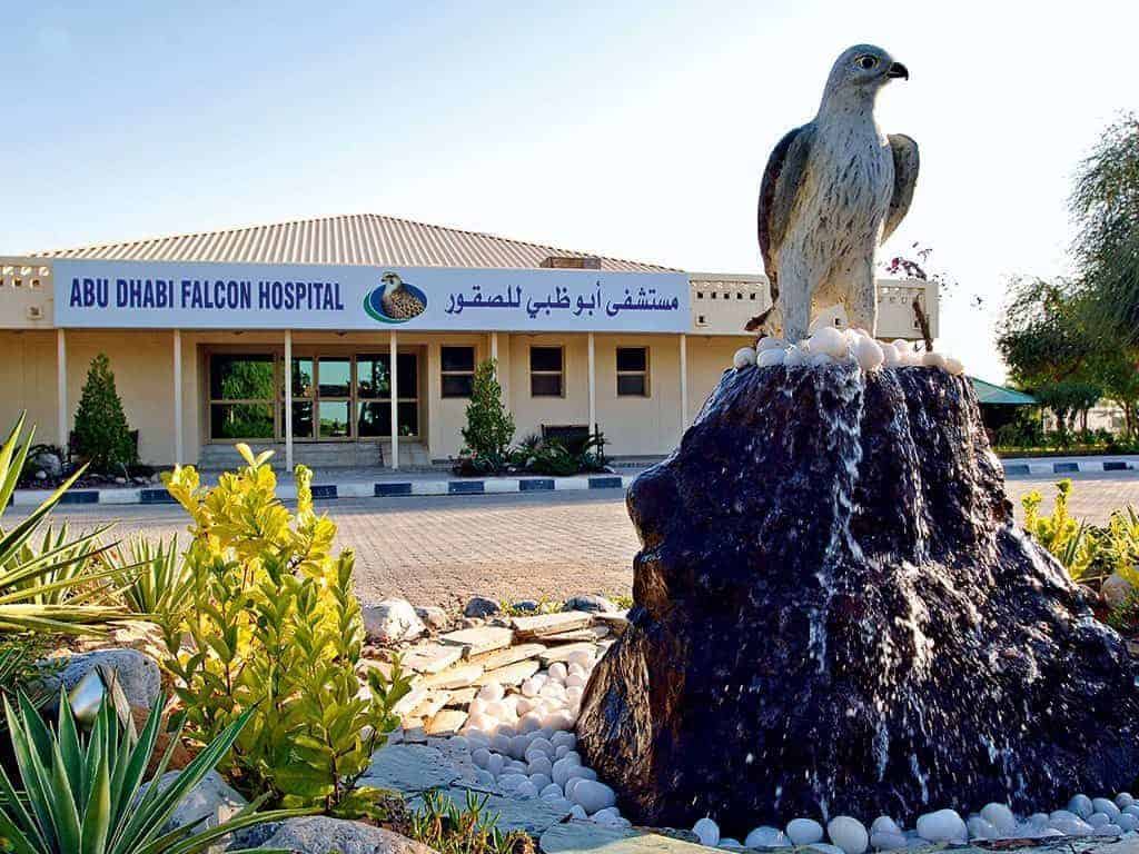 The Famous Falcon Hospital of Abu Dhabi 5 Famous Falcon Hospital of Abu Dhabi